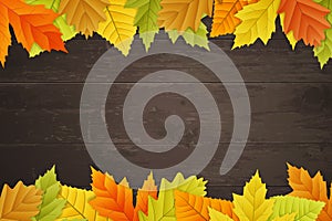 Vector autumn background on wooden board