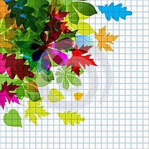 Vector of autumn colorful tranparent leaves on a checkered paper background.