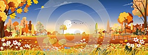 Vector Autumn landscape at harvest farm field with orange and blue sky,Beautiful sunset in mid Autumn in countryside,Panorama view