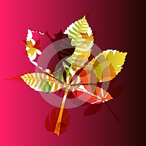 Vector autumn leaves background