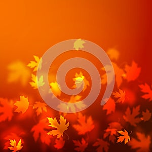 Vector autumn leaves background design, unfocused blurred red maple leaves backdrop