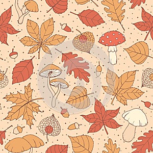 Vector autumn seamless pattern with oak, poplar, beech, maple, aspen and horse chestnut leaves, mushrooms, acorns and physalis bro