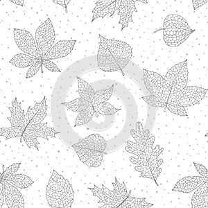Vector autumn seamless pattern with oak, poplar, beech, maple, aspen and horse chestnut leaves and physalis
