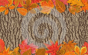 Vector autumn seasonal watercolor style Fall maple, chestnut, al