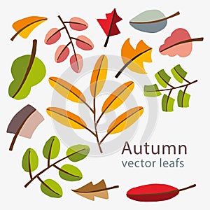 Vector autumn template. Modern stylized colorful leafs.