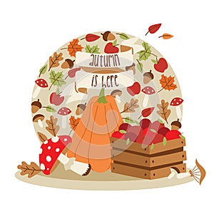 Vector autumn time thanksgiving decoration elements. Happy lettering items invitation card. Pumpkin, mushrooms, leaves