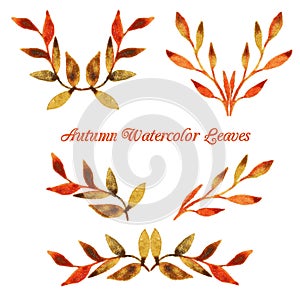 Vector autumn watercolor leaf pattern template