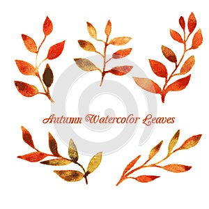 Vector autumn watercolor leaf pattern template