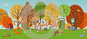 Vector autumn woodland background in cartoon style.
