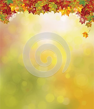 Vector autumnal colorful l maple leaves border. Autumnal background