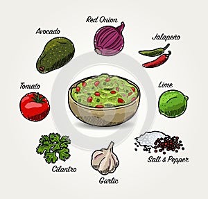 Vector Avocado Guacamole Ingredients