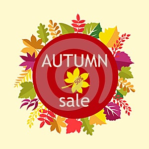 Vector background Autumn Sale.