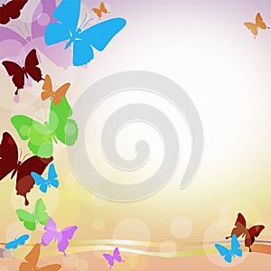 Vector background with butterflies