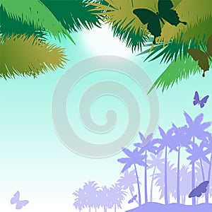 Vector background with butterflies and palms