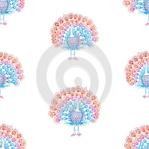 Seamless pattern of decorative drawn colorful peacocks