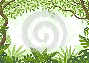 Vector background depicting a jungle with leaves, trees and vines