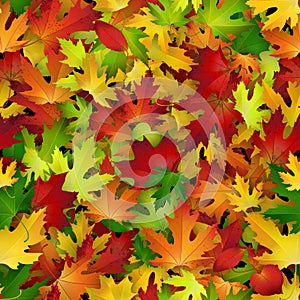 Vector background design with colorful autumn leaves, seamless pattern