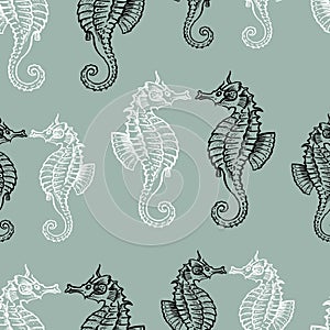 Vector background of the drawn seahorses
