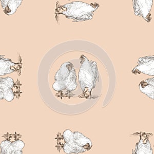 Seamless pattern of drawn white cocks and hens