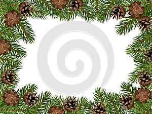 Vector background with fir branches and cones.