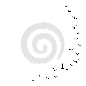 Vector background with flying birds on the right side