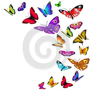 Vector background with flying butterflies