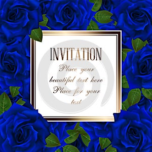 Vector background frame with blue roses and place for text