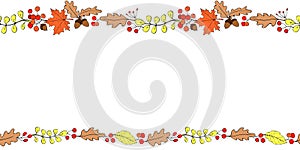 Vector background, frame made of colorful autumn leaves, berries, acorns on edges. Horizontal top and bottom edging