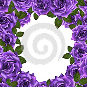 Vector background frame with purple roses and place for text