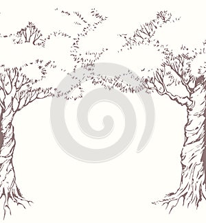 Vector background. Frame from trees