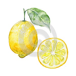 Vector background fresh limon. photo