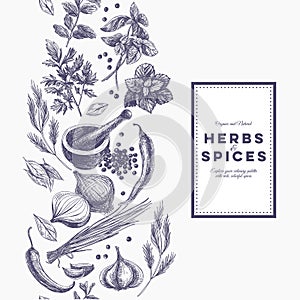 Vector background with hand drawn herbs and spices