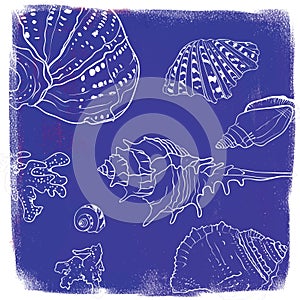 Vector background with hand drawn seashells