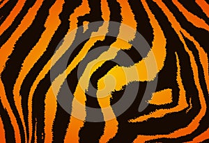 Vector background like tiger skina photo