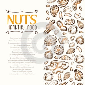 Vector background with nuts arranged vertically