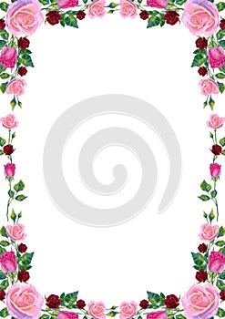 Vector background with pink and red rose flowers and green leaves frame