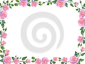 Vector background with pink rose flowers and green leaves. Horizontal poster