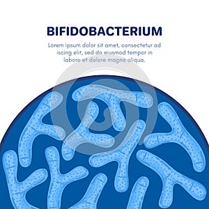 Vector background with probiotics in semicircular shape. Bifidobacterium. Microbiome