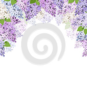 Background with lilac flowers. Vector illustration. photo