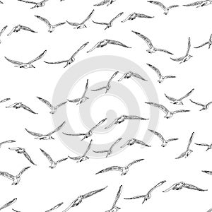 Seamless pattern from sketches of flying flock seagulls