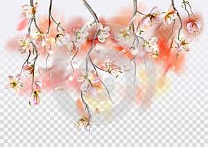 Vector background with spring cherry blossom. Sakura branch in springtime with falling petals and blurred transparent elements