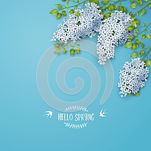 Spring Lilac Blossom