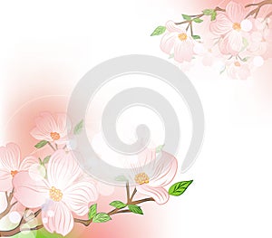 Vector background with spring flowers