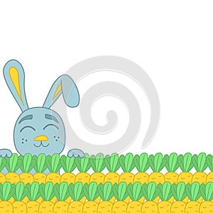 Vector background template with carrot and rabbit character. Children`s vector banner with a cartoon banny character. Frame for