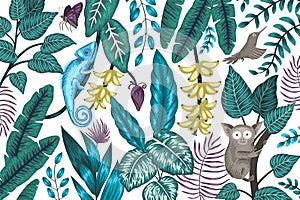 Vector background with tropical plants, insects and animals. Exotic jungle illustration with chameleon, tarsier, bird of paradise