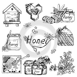 Vector background wallpaper sketch style honey, beekeeping. Color hand drawn set. Template with bee, hive, jar, barrel