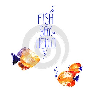 Vector background with watercolor discus fish