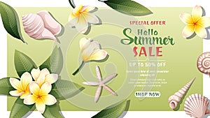 Vector background with yellow plumeria flowers and seashells. Tropical vibe, summer time, holidays. Summer sale template, discount