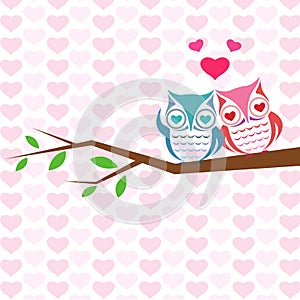 Vector backgrounds with couple of owls on the branch.