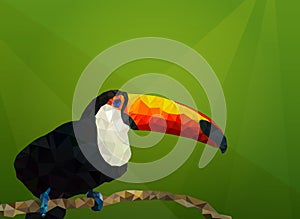 Vector backround with toucan. Low Poly, Polygonal illustration.